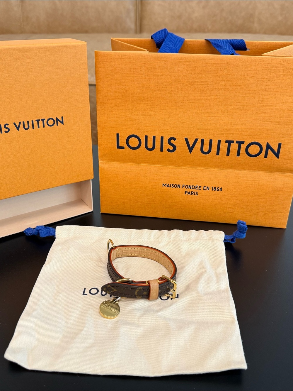 Louis Vuitton Brown Monogram Leather Dog Collar Gold-Tone Charm and Tan Trim